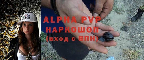 крисы Вяземский