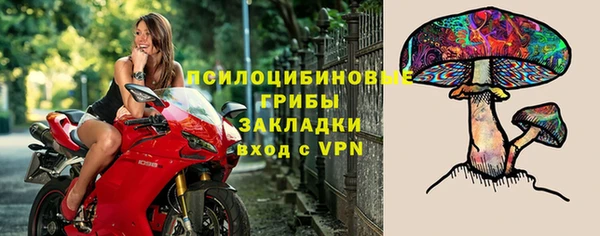 крисы Вязьма