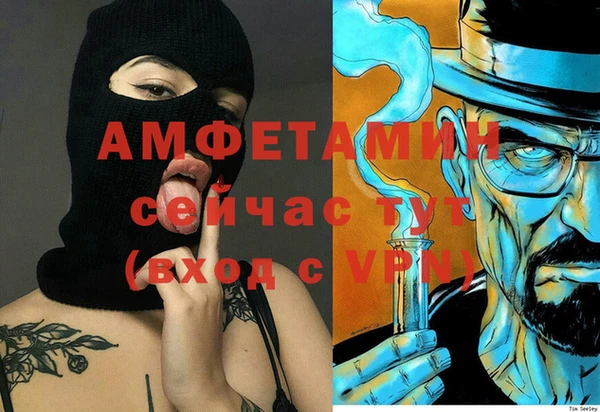 индика Волоколамск