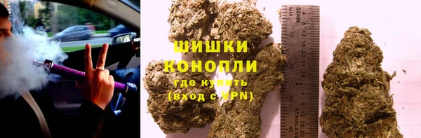 крисы Вязьма