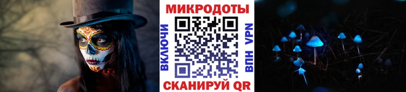 OMG ССЫЛКА  Жуковка  Псилоцибиновые грибы Psilocybine cubensis 