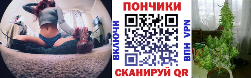 Бошки Шишки LSD WEED  где купить   Жуковка 